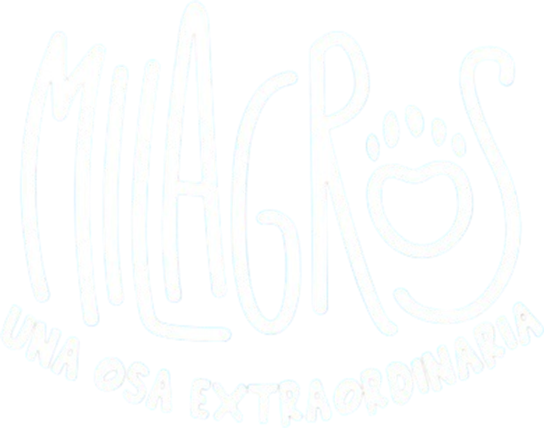 Milagros: Una osa extraordinaria