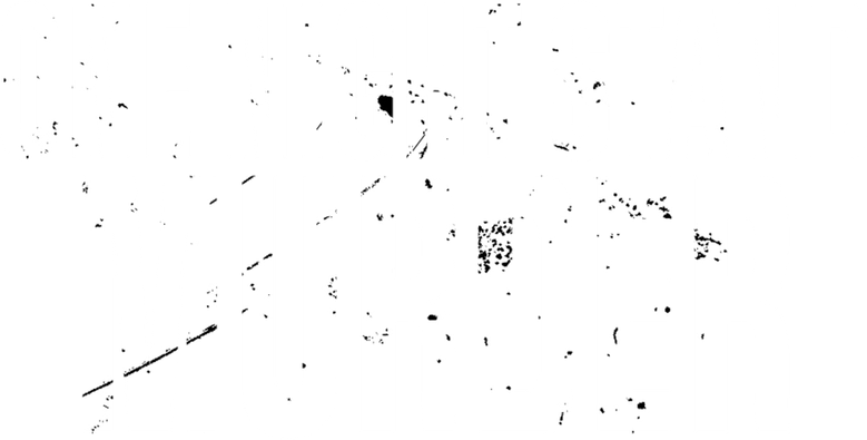One Night Stand Murder
