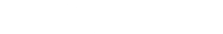 Берлинская жара logo