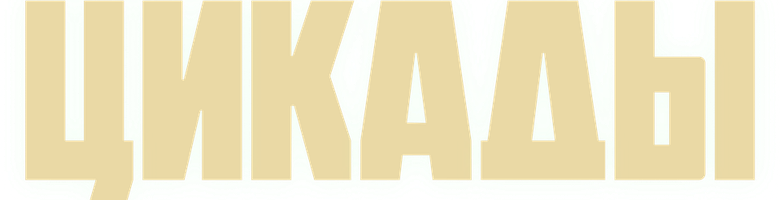 Цикады logo
