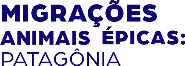 Epic Animal Migrations: Patagonia