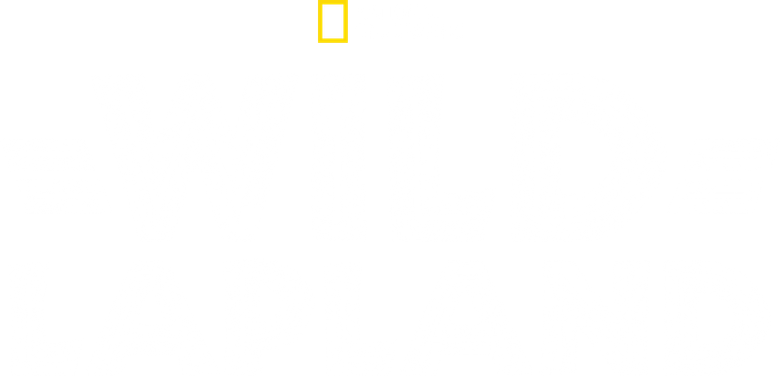 Wild Lapland