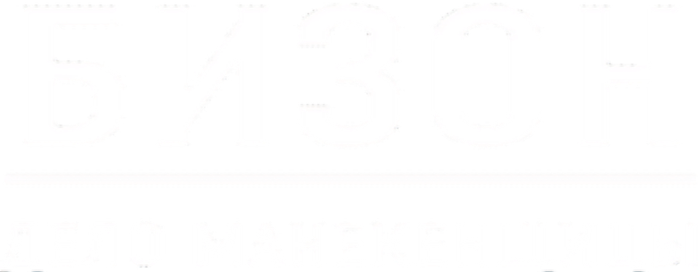 Бизон: Дело манекенщицы logo