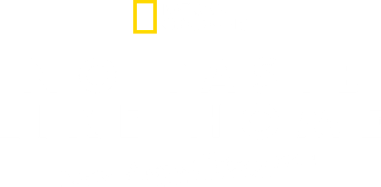 Sabor Caseiro com Antoni Porowski logo