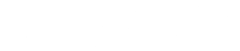 奇幻变身大冒险 logo