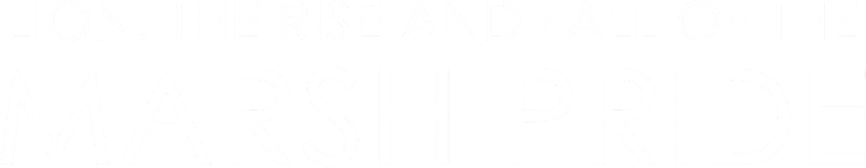 Lion: The Rise and Fall of the Marsh Pride