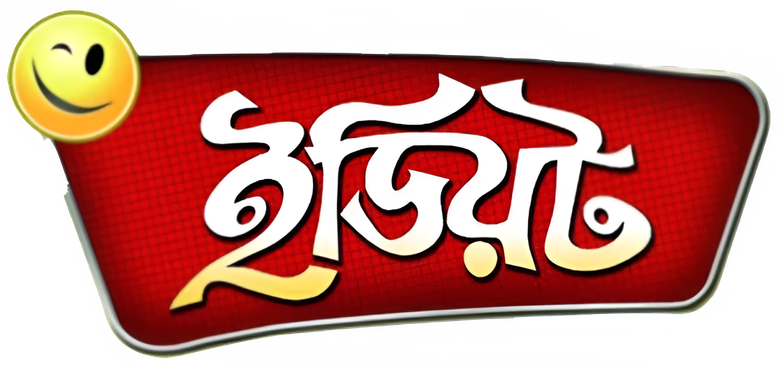 ইডিয়ট logo