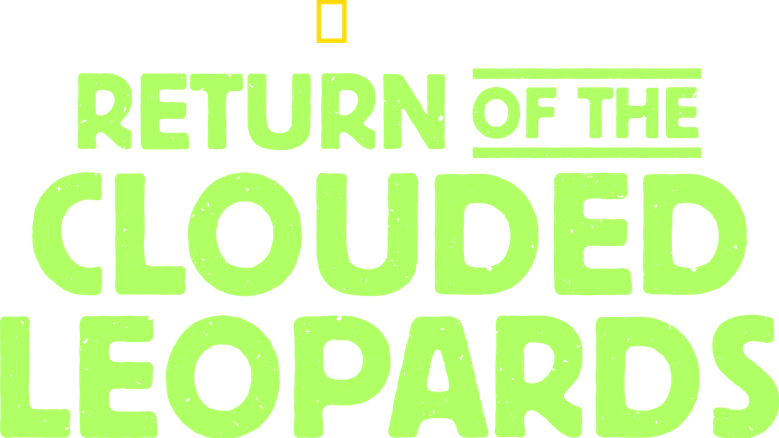Return of the Clouded Leopards