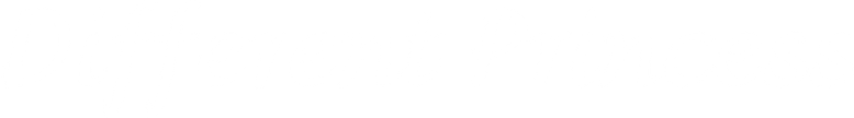 Different Princess logo