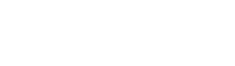 The Lowdown logo