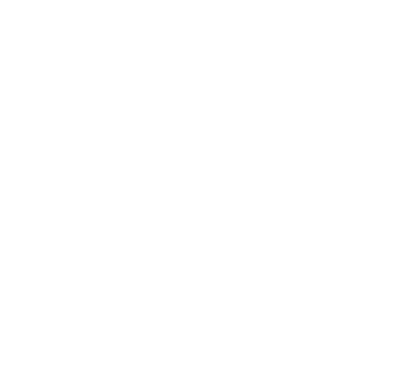 NCIS: Tony & Ziva logo