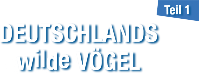 Deutschlands wilde Vögel