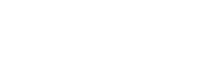 O romance do meu irmão logo