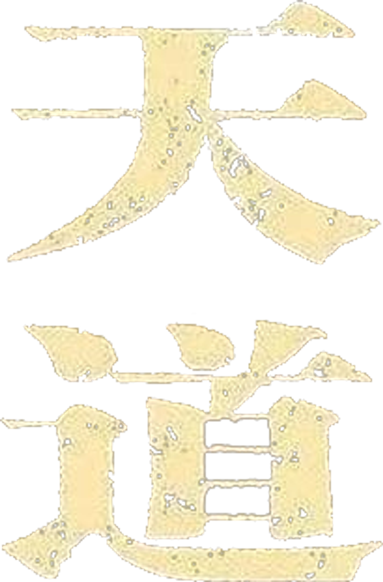 天道 logo