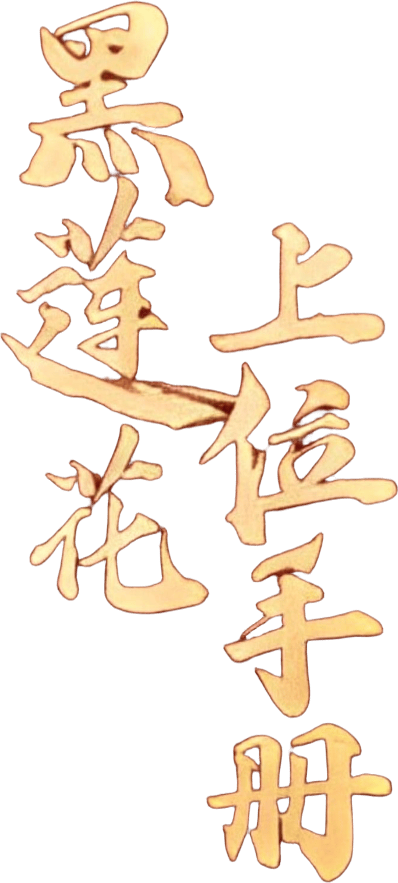 黑莲花上位手册 logo