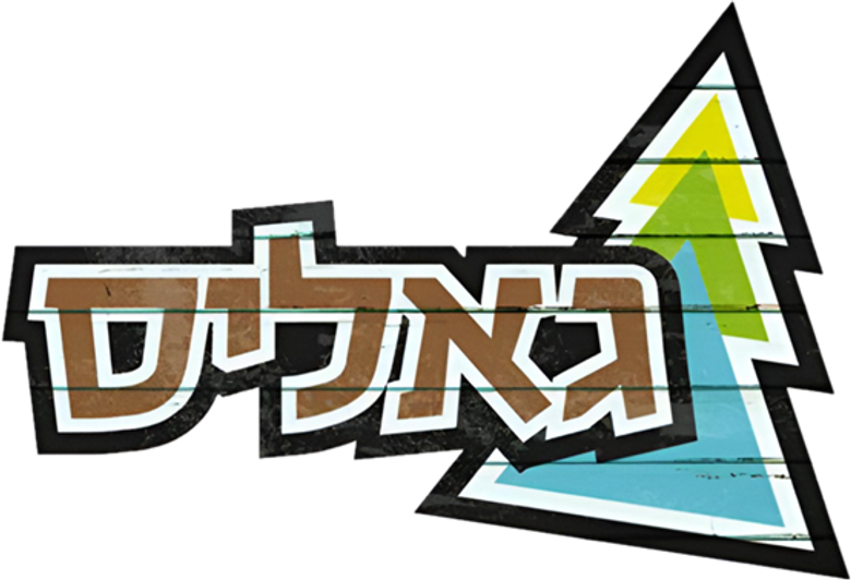 גאליס logo