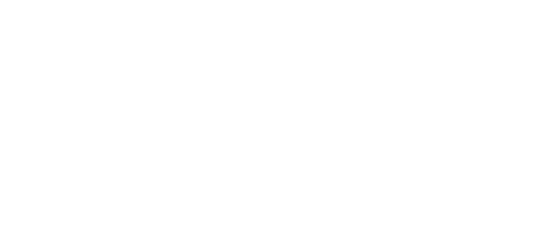 アンメット ある脳外科医の日記 logo