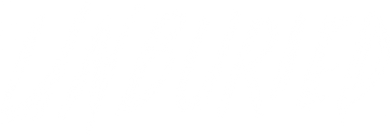 Cometerra logo