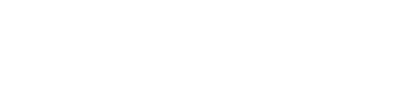 DMV logo
