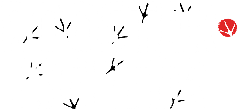 Rooster Fighter logo