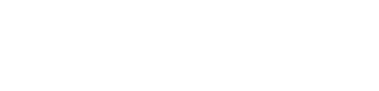 Nível Secreto logo