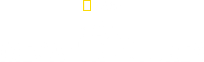 Obras do Nazismo logo