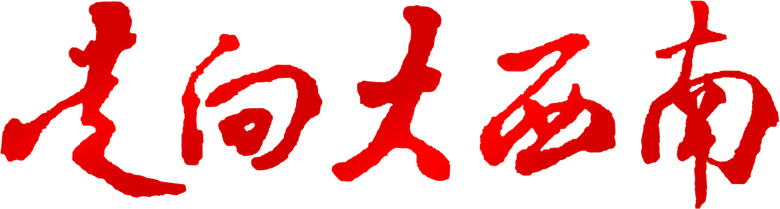 走向大西南 logo