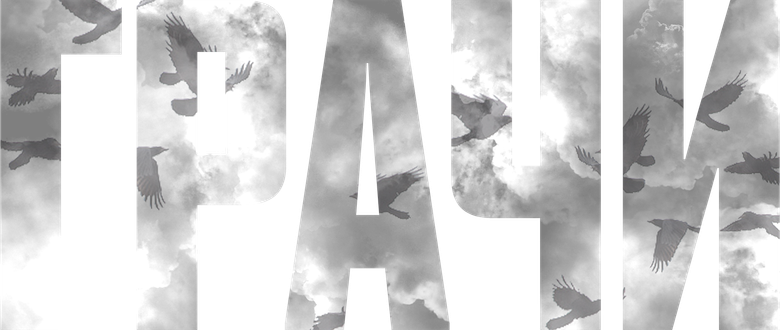 Грачи logo