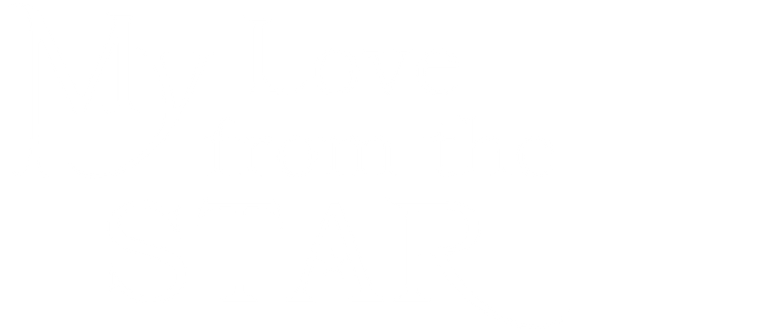 My Love from the Star logo