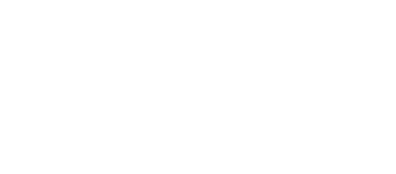 Tico e Teco: Defensores da Lei logo