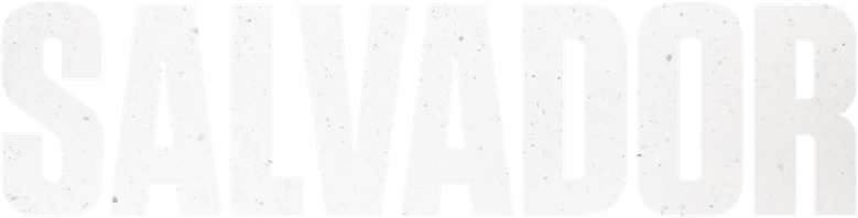 Salvador logo