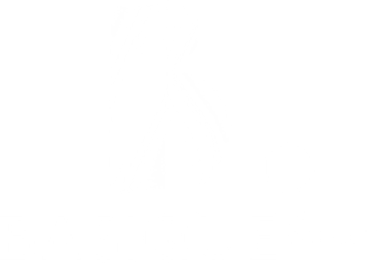 Basique, le concert logo