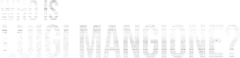 Who Is Luigi Mangione? logo