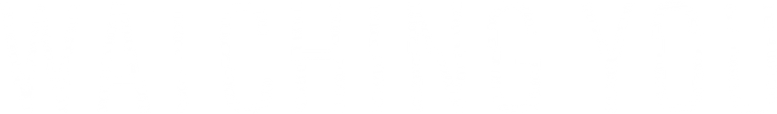 Watching You logo