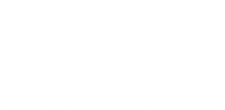 Zonz logo