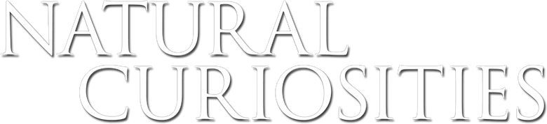 David Attenborough's Natural Curiosities logo