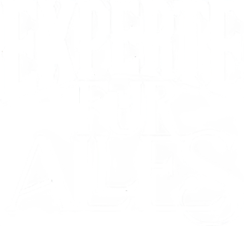 Experte für alles logo