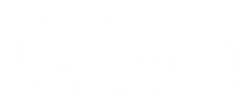 A Ilha Esquecida logo