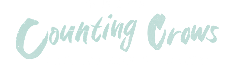 Music Box: Counting Crows: Have You Seen Me Lately?