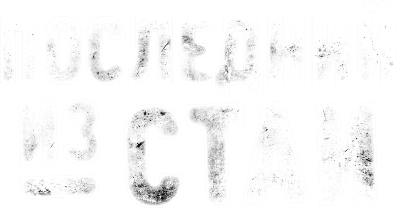Последний из стаи logo