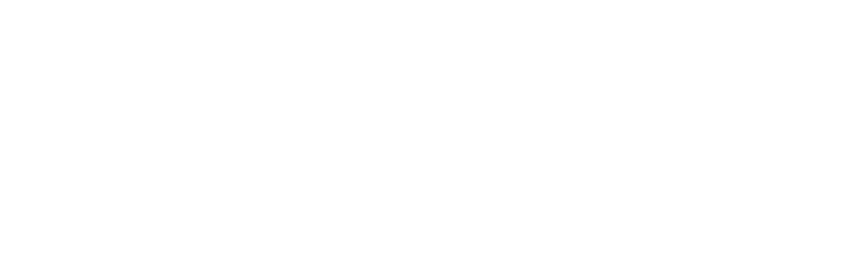 Санкционер logo