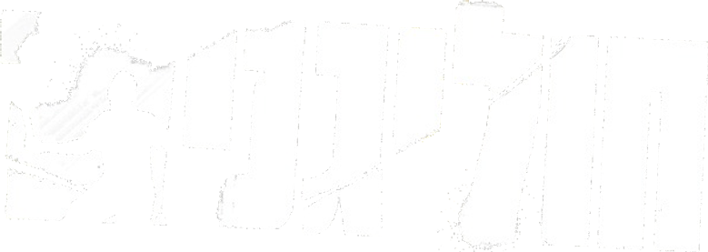 חוליגנים logo