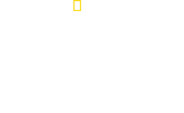 Dolphins Up Close with Bertie Gregory