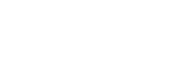 A Vida dos Sonhos do Sr. Kim logo