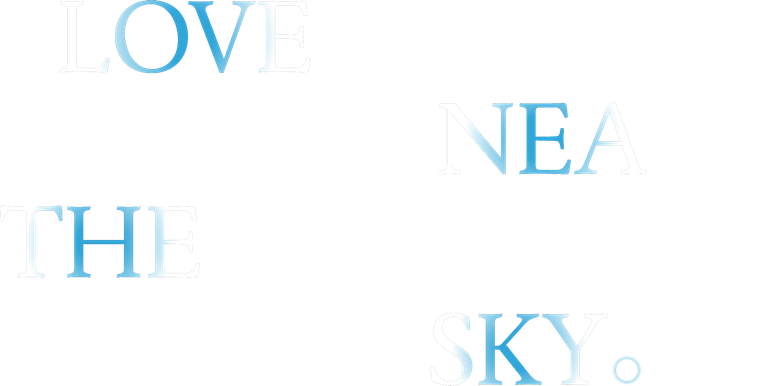 Amor Invisível sob o Céu Limpo da Noite logo