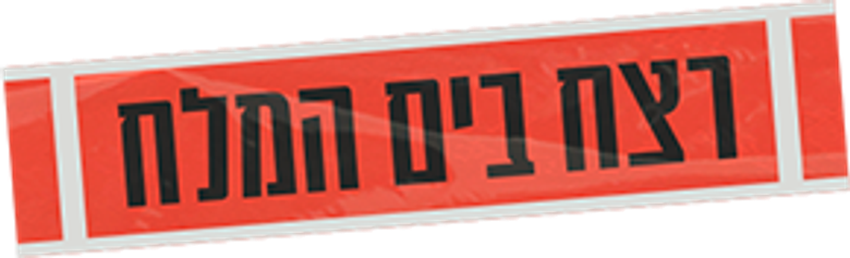 רצח בים המלח logo