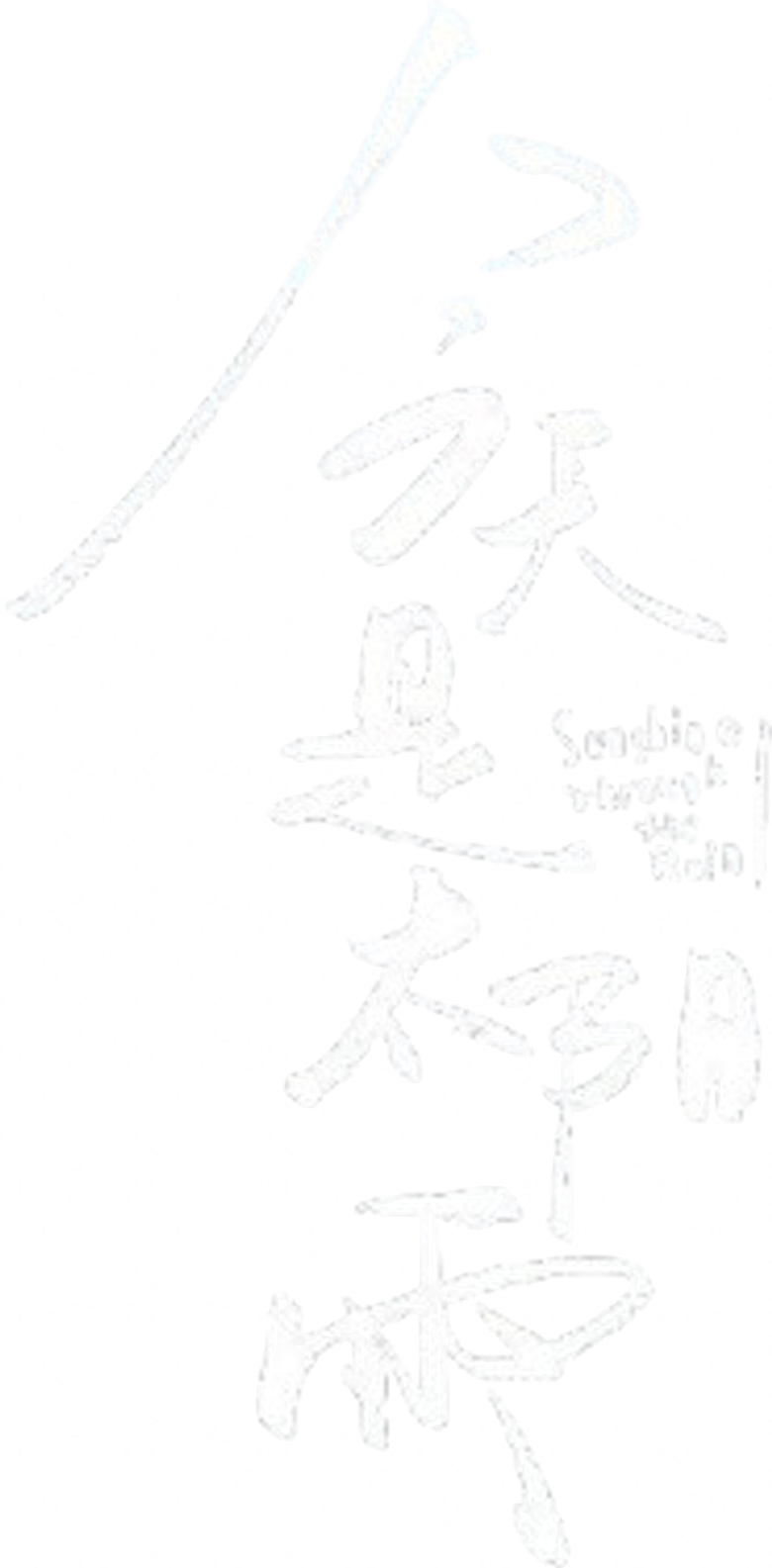 今天是太阳雨 logo