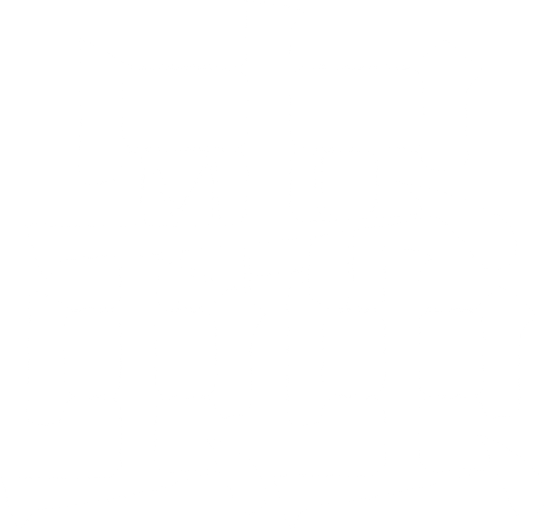 Insect