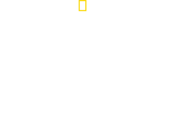 Cheetahs Up Close with Bertie Gregory logo