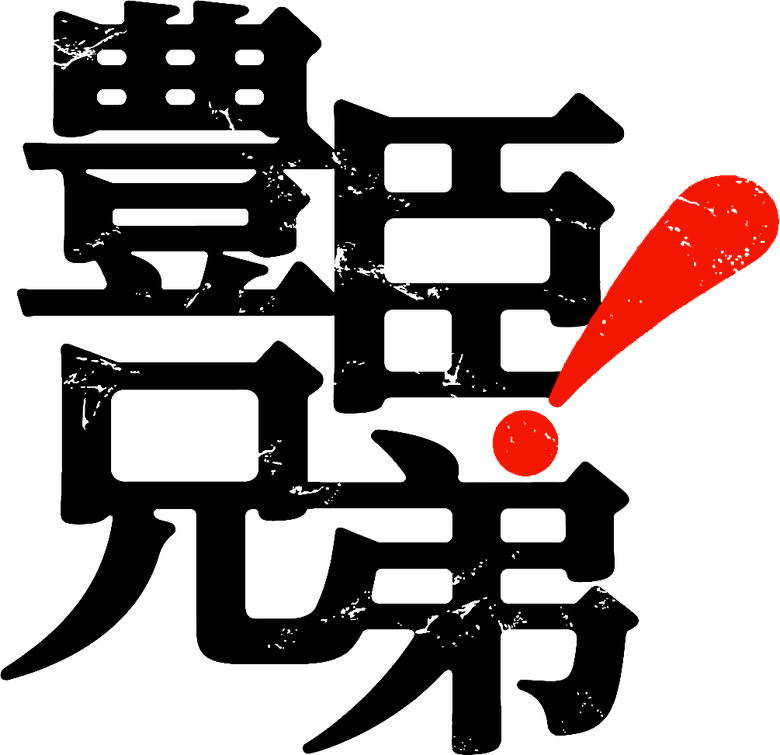 Brothers in Arms logo